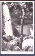 1950-Pedavena Cascata Del Pissoton (Murle) Affrancata L.1 + L.10 Democratica - 1946-60: Marcophilia