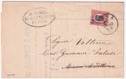 1880-SERVIZIO Sopr. C.2/5,00 (35) Isolato Su Piego Pisa (20.9) - Storia Postale