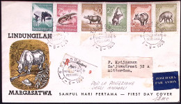 1959-Indonesia 10 Valori Protezione Degli Animali Su Busta Illustrata Raccomanda - Indonesien