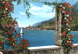 72546744 Malcesine Lago Di Garda Panorama Malcesine - Autres & Non Classés