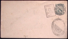 1899-Paraguay Intero Postale 5 C. Con Annullo Figurato - Paraguay