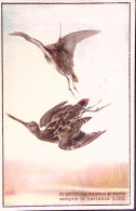1920circa-cartolina Pubblicitaria Cartucce SIPE - Publicité