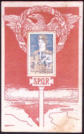 1918-cartolina SPQR Trento Trieste Con Erinnofilo Del Comitato Bolognese Di Prep - Vignetten (Erinnophilie)