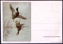 1935-cartolina Pubblicitaria Prodotti Esplodenti,insignificante Forellino Nella  - Advertising