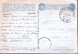 1943-Posta Militare/n.127 C.2 (4.2) Su Cartolina Franchigia - Guerre 1939-45