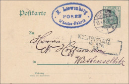Bayern: 1903 Ganzsache Von Posen Nach Wüstenselbitz - Enteros Postales