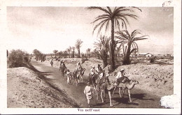 1935-LIBIA Via Nell'Oasi Viaggiata Affrancata Ordinaria C.10 - Libyen