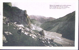 1925-SCHIERANO C.2 (16.8) Su Cartolina Affrancata Michetti Sopr. C.20/25 - Marcophilie