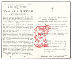 DP Petrus Schotte ° Sint-Lievens-Esse Herzele 1860 † 1947 Diependaele Vandenbossche Matthys Reynaert De Roeck Van Muylem - Images Religieuses