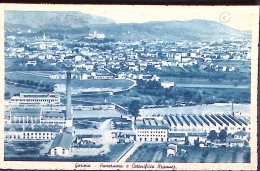 1946-A.M.G.-V.G. Imperiale Singolo E Coppia Lire 1 Su Cartolina (Gorizia Panoram - Gorizia