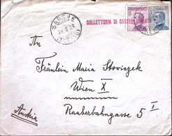1925-Collettoria Di CASTEL TOBLINO Lineare Rosso, Su Busta Sarche (28.8) Affranc - Poststempel