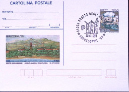 1993-ABRUZZOPHIL Cartolina Postale Castelli Lire 700, Annullo Speciale - Entiers Postaux