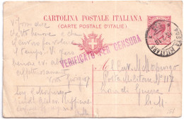 1918-Posta Militare/113 C.2 (13.2) Su Cartolina Postale Leoni C.10 - Guerre 1914-18