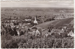 Auggen - Größter Weinort Des Markgräflerlandes  - (Deutschland) - Breisach