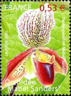 France Poste N** Yv:3763 Mi:3914 Orchidée Paphiopedilum - Unused Stamps