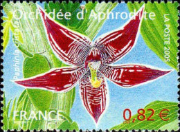 France Poste N** Yv:3766 Mi:3917 Orchidée D'Aphrodite Paphinia Cristata - Nuovi