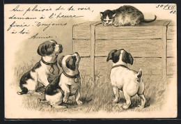 Lithographie Drei Hundewelpen Beäugen Eine Katze  - Chiens