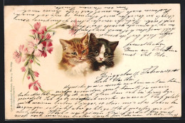Lithographie Zwei Junge Katzen Neben Blumen  - Cats