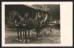 Foto-AK Paar In Einer Kutsche, 1928  - Pferde