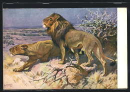 Künstler-AK Löwen Pirschen Sich Im Schutz Von Büschen An Ihre Beute Heran  - Tigres