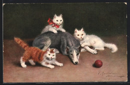 AK Drei Junge Katzen Mit Einem Grossen Hund  - Chats