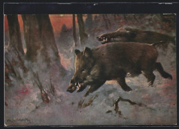 Künstler-AK Wildschweine Im Wald, Schneepartie  - Cochons