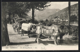 AK Lourdes, Landwirt Mit Seinem Ochsen-Gespann, Un Attelage Paysan  - Kühe
