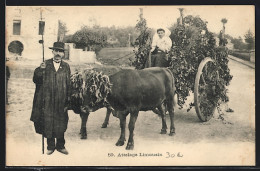 AK Attelgae Limousin, Mann Mit Einem Ochsengespann  - Mucche