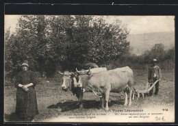 AK Types Limousins, Bauernpaar Mit Plug Und Ochsen-Gespann  - Vaches
