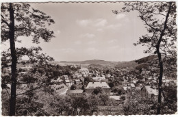Delcampe - Freudenberg  Kr. Siegen - (Deutschland) - 1959 - Siegen