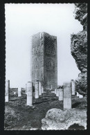 Delcampe - 1115 - MAROC - RABAT - La Tour Hassan - Rabat