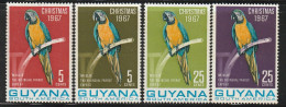 GUYANA - N°258/9+280/1 ** (1967) Oiseaux - Guiana (1966-...)
