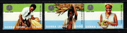 SIERRA LEONE - 1995 - 50° ANNIVERSARIO DELLA FAO - FRANCOBOLLI CON PIEGA - MNH - Sierra Leona (1961-...)