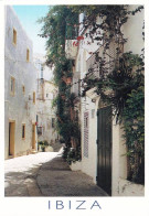 Islas Baleares - IBIZA - Calle Tipica - Ibiza