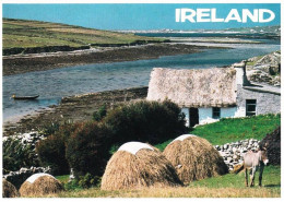 Eire - Ireland -  Traditional Irish Cotage On The Connemara - Co Galway - Galway
