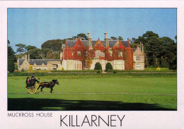 Eire - Ireland -  Muckross House  KILLARNEY - Co Kerry - Kerry