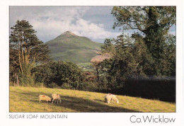 Eire - Ireland - Co Wicklow- Sugar Loaf Mountain - Wicklow