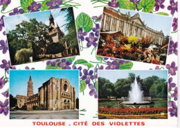 31 - TOULOUSE  -  Cité Des Violettes - Marché Aux Fleurs - Basilique  - Jardin Du Grand Rond - Toulouse