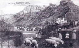 48 - Lozere -  Gorges Du Tarn - Sortie Des Gorges Au ROZIER Et Rocher De Capluc - Moutons Au Paturage - Gorges Du Tarn