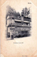 41 - Loir Et Cher -  BLOIS - Fontaine Louis XII - Blois