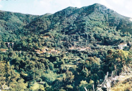 20 - Corse -  BOCOGNANO - Vue Panoramique - Autres & Non Classés