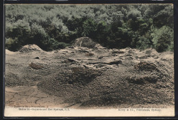 AK Neuseeland, Basin Of Mud Volcanoes, Geysir  - Neuseeland