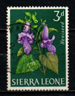 SIERRA LEONE - 1963 - BENISEED - PIANTA TROPICALE - USATO - Sierra Leone (1961-...)