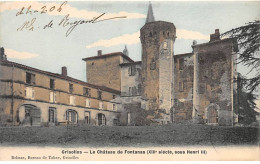 GRISOLLES - Le Château De Fontanas - Très Bon état - Grisolles