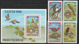 MONTSERRAT - N°669/72+BLOC N°45 ** (1988) Oiseaux - Montserrat