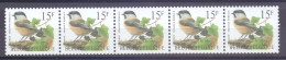 Belgie -1997 - OBP -** 2695 - Matkop - Rolzegel - Strook Nr 05065 - Kopstaand  - Vogels A. Buzin ** - 1985-.. Vögel (Buzin)