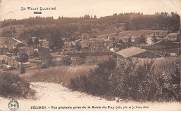 FELINES - Vue Générale Prise De La Route Du Puy - état - Autres & Non Classés