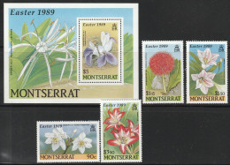 MONTSERRAT - N°705/8+BLOC N°49 ** (1989) Fleurs - Montserrat