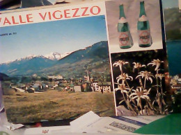 VALLE VIGEZZO MALESCO E ACQUA BOTTIGLIA  STELLE ALPINE N1980 JV6565 - Verbania