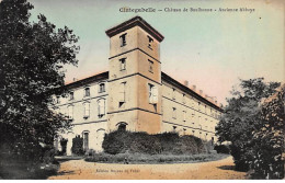 CINTEGABELLE - Château De Boulbonne - Ancienne Abbaye - Très Bon état - Autres & Non Classés